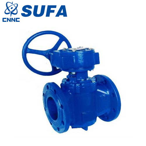 中核苏阀-偏心旋塞阀