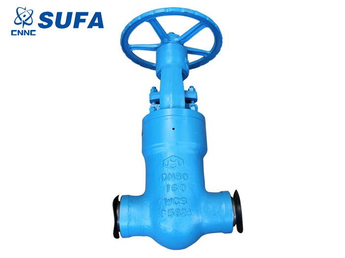 中核苏阀-高压焊接截止阀