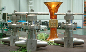 中核苏阀-核级锻钢阀门